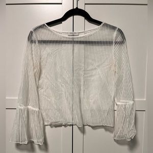 Babaton Sheer Blouse (Aritzia)